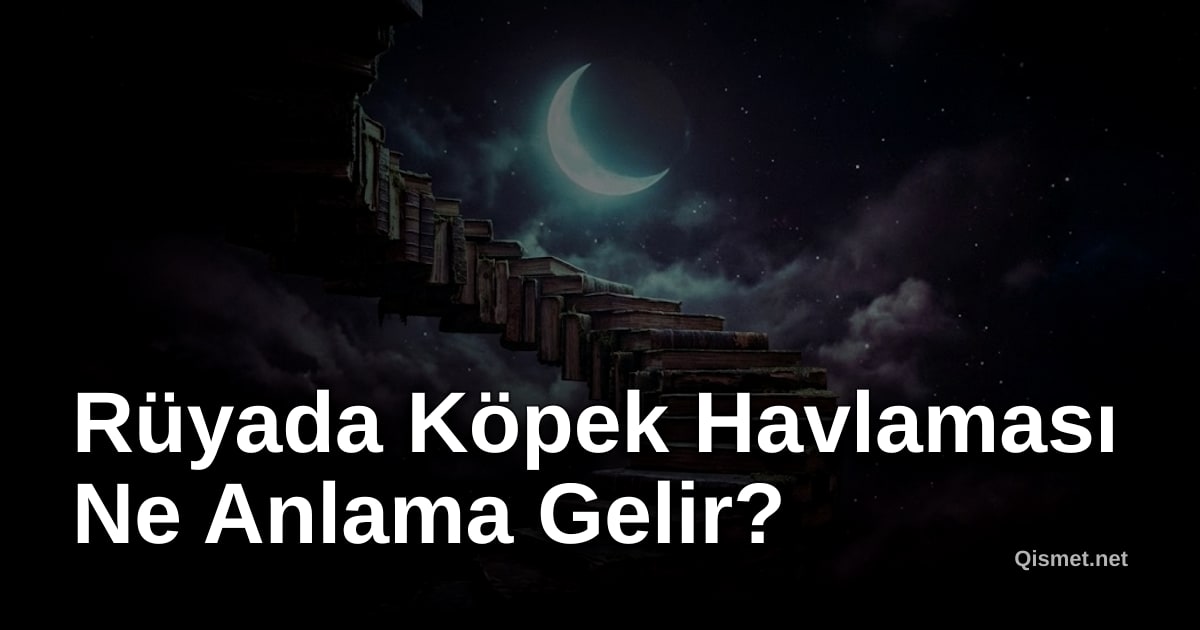 Rüyada Köpek Havlaması Ne Anlama Gelir?