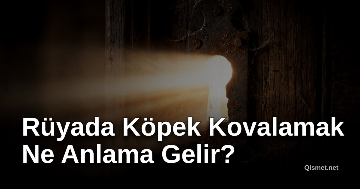Rüyada Köpek Kovalamak Ne Anlama Gelir?