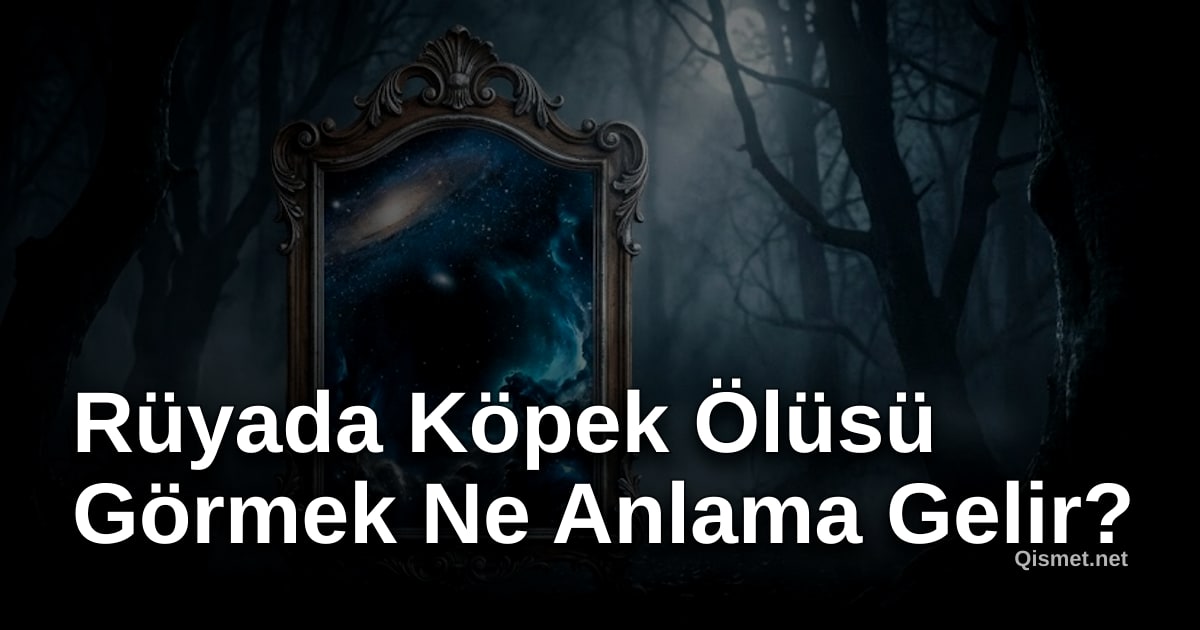 Rüyada Köpek Ölüsü Görmek Ne Anlama Gelir?