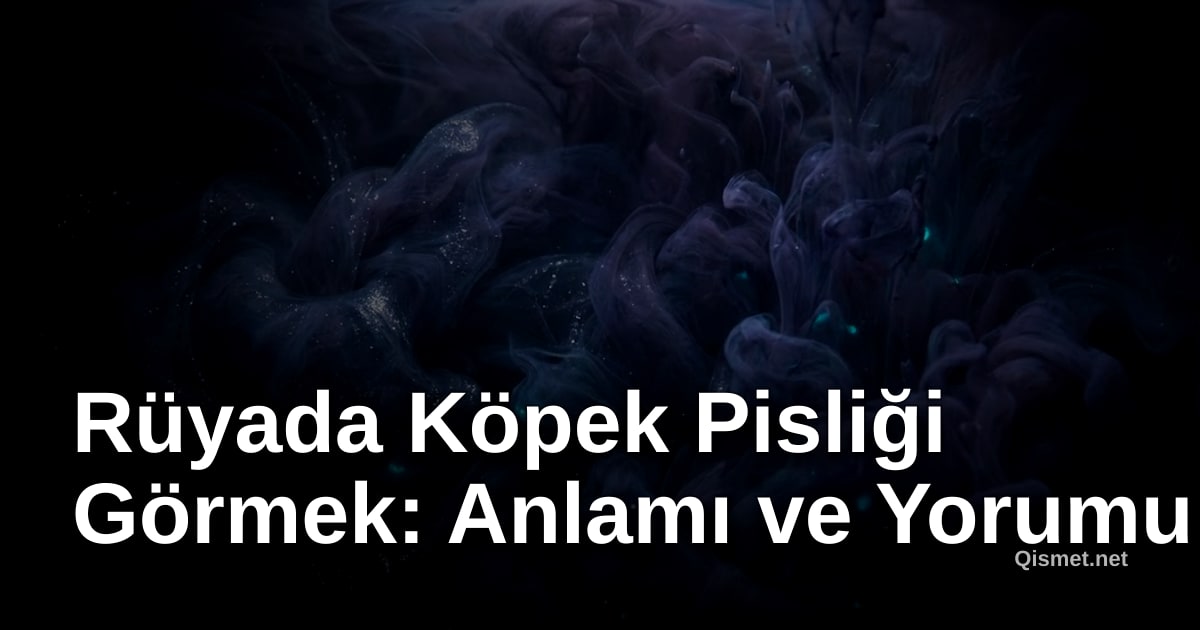 Rüyada Köpek Pisliği Görmek: Anlamı ve Yorumu
