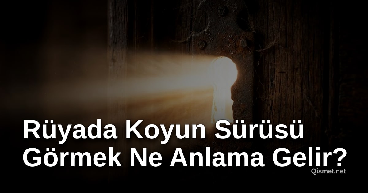 Rüyada Koyun Sürüsü Görmek Ne Anlama Gelir?