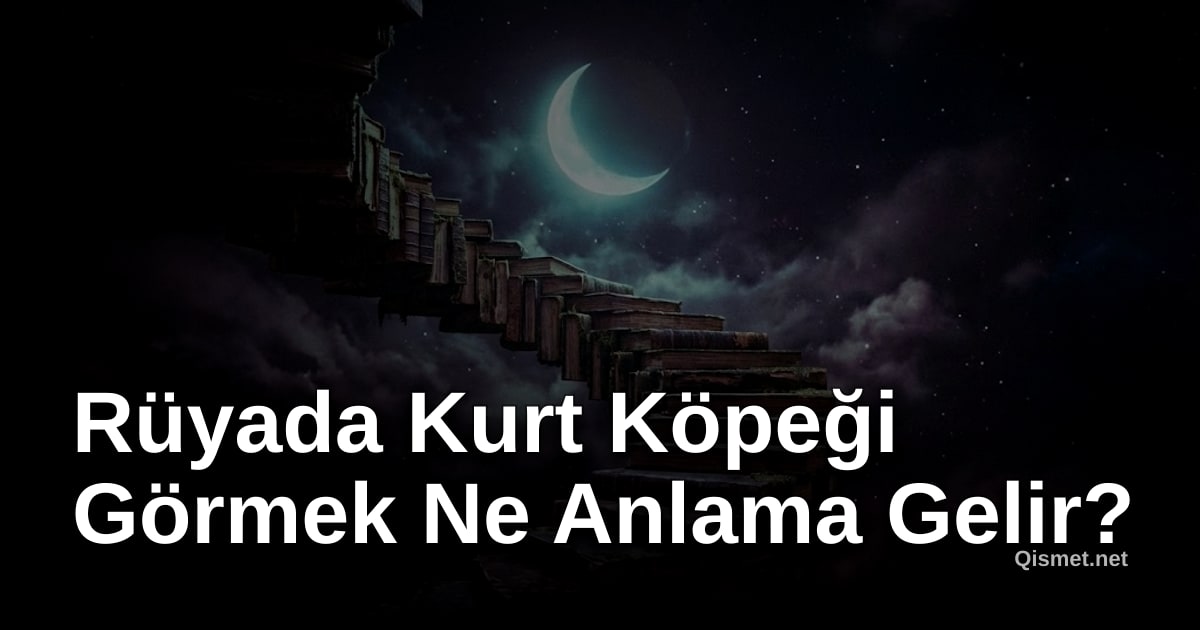 Rüyada Kurt Köpeği Görmek Ne Anlama Gelir?