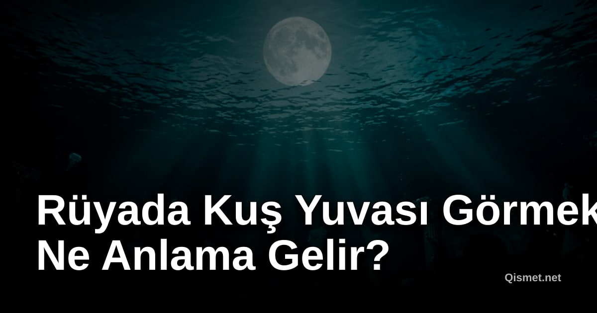 Rüyada Kuş Yuvası Görmek Ne Anlama Gelir?