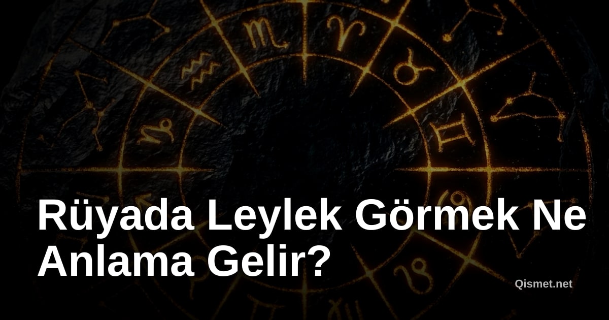 Rüyada Leylek Görmek Ne Anlama Gelir?