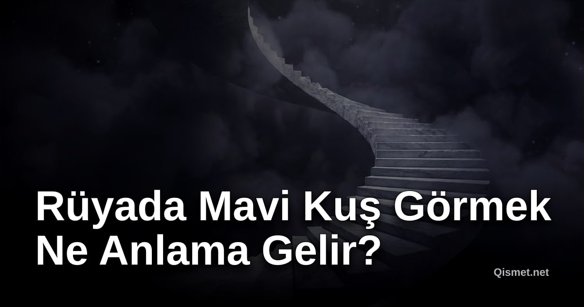 Rüyada Mavi Kuş Görmek Ne Anlama Gelir?