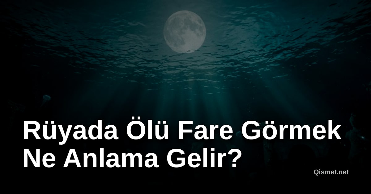 Rüyada Ölü Fare Görmek Ne Anlama Gelir?