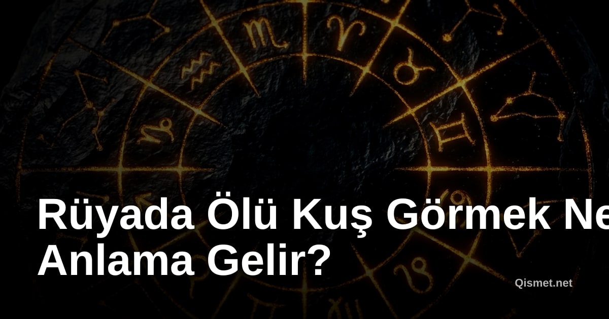 Rüyada Ölü Kuş Görmek Ne Anlama Gelir?