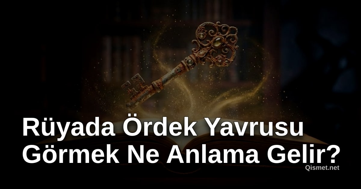 Rüyada Ördek Yavrusu Görmek Ne Anlama Gelir?