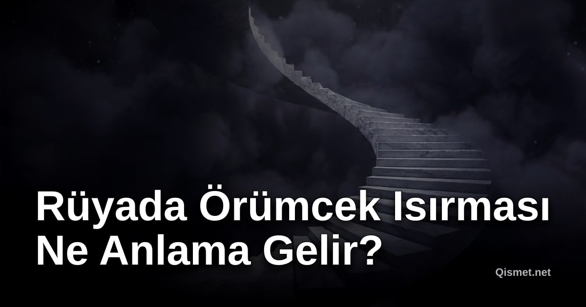Rüyada Örümcek Isırması Ne Anlama Gelir?