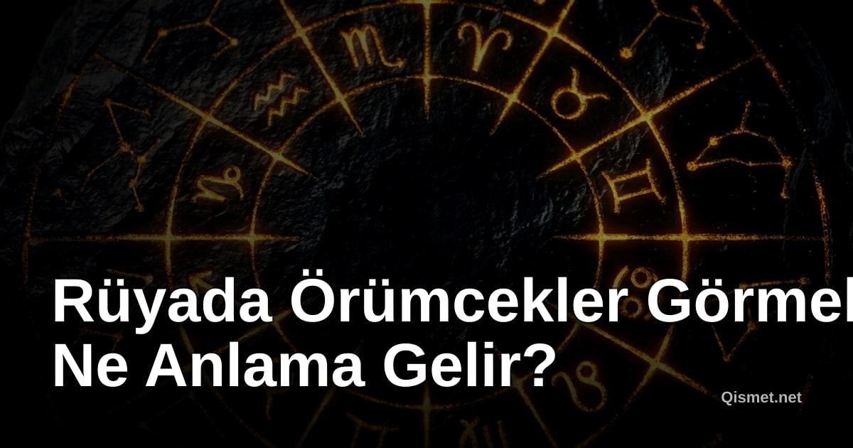 Rüyada Örümcekler Görmek Ne Anlama Gelir?