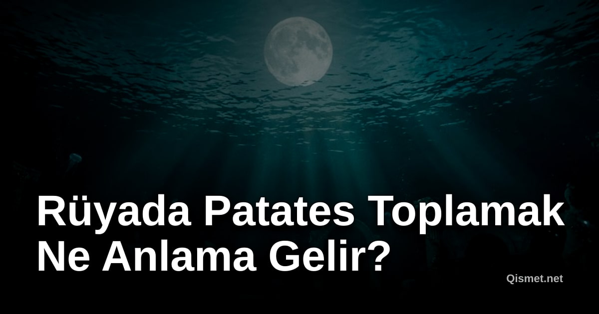 Rüyada Patates Toplamak Ne Anlama Gelir?