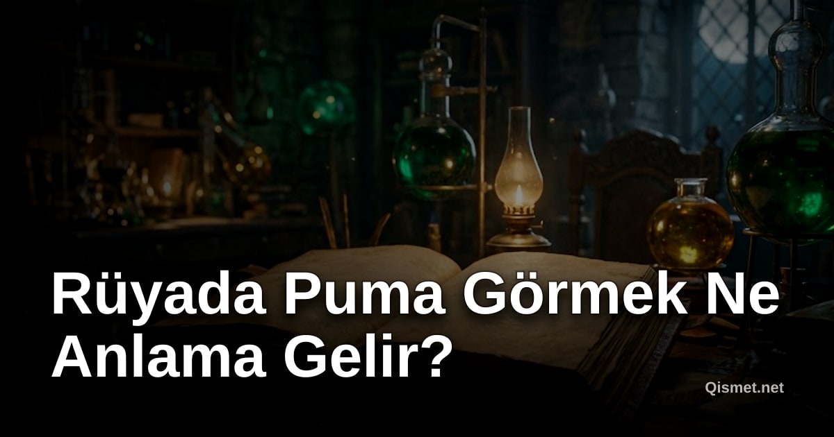 Rüyada Puma Görmek Ne Anlama Gelir?
