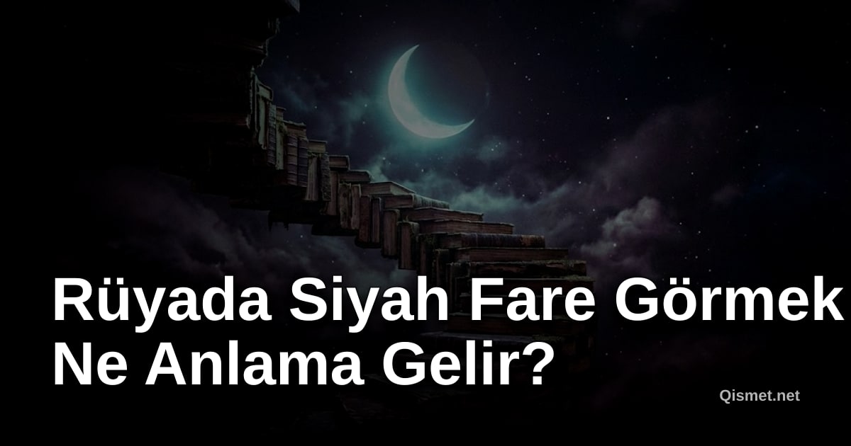 Rüyada Siyah Fare Görmek Ne Anlama Gelir?