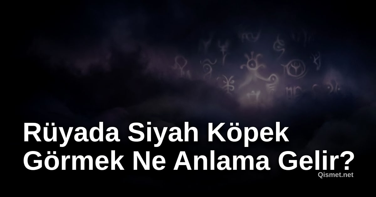 Rüyada Siyah Köpek Görmek Ne Anlama Gelir?