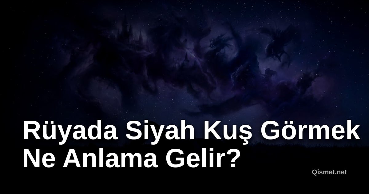 Rüyada Siyah Kuş Görmek Ne Anlama Gelir?