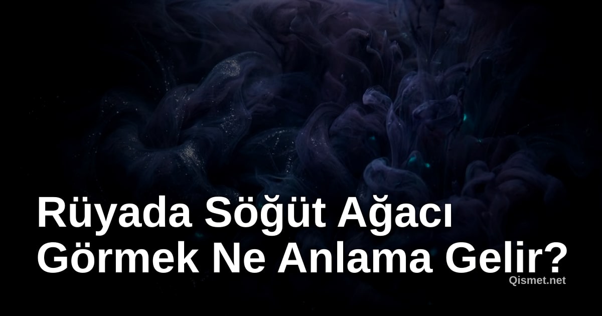 Rüyada Söğüt Ağacı Görmek Ne Anlama Gelir?