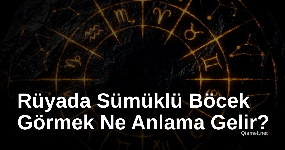 Rüyada Sümüklü Böcek Görmek Ne Anlama Gelir?