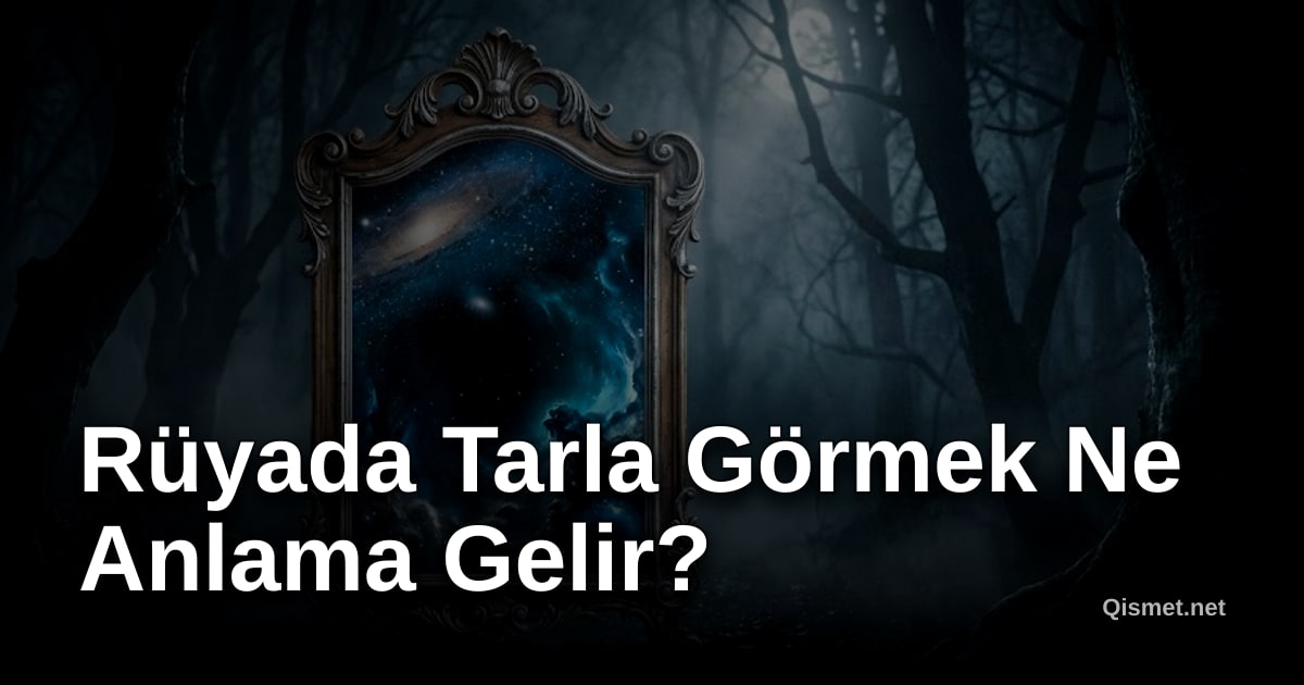 Rüyada Tarla Görmek Ne Anlama Gelir?