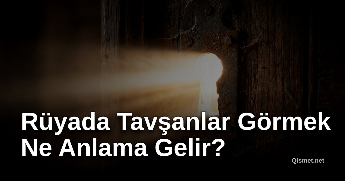 Rüyada Tavşanlar Görmek Ne Anlama Gelir?