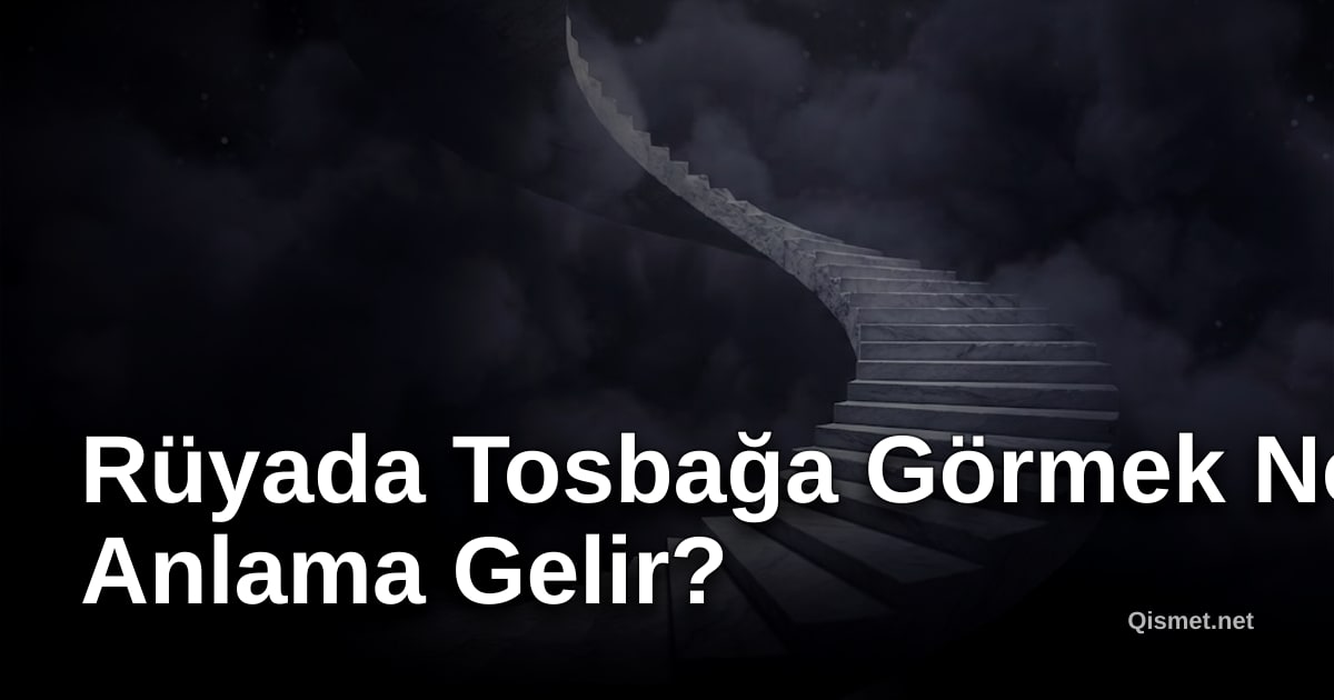Rüyada Tosbağa Görmek Ne Anlama Gelir?