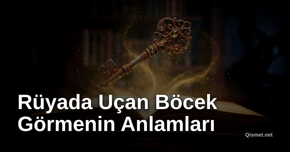 Rüyada Uçan Böcek Görmenin Anlamları