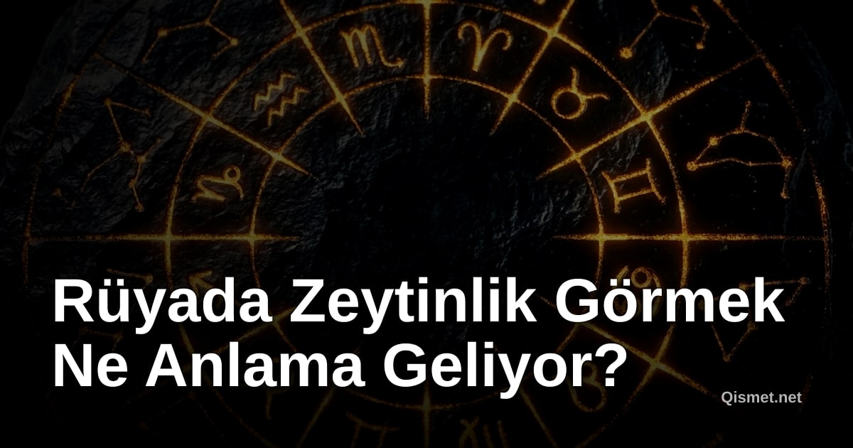 Rüyada Zeytinlik Görmek Ne Anlama Geliyor?