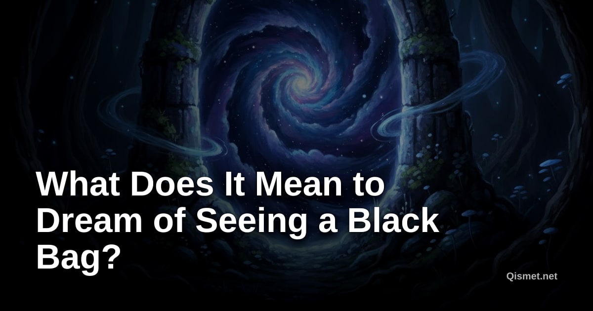 What Does It Mean to Dream of Seeing a Black Bag?