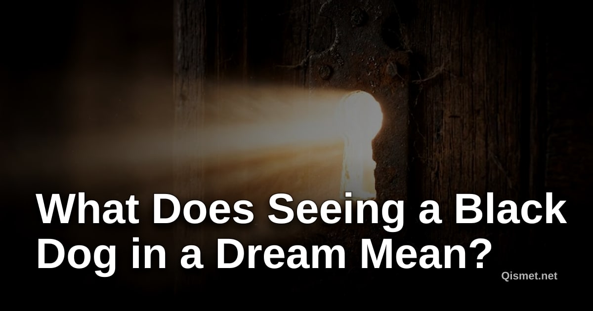 What Does Seeing a Black Dog in a Dream Mean?