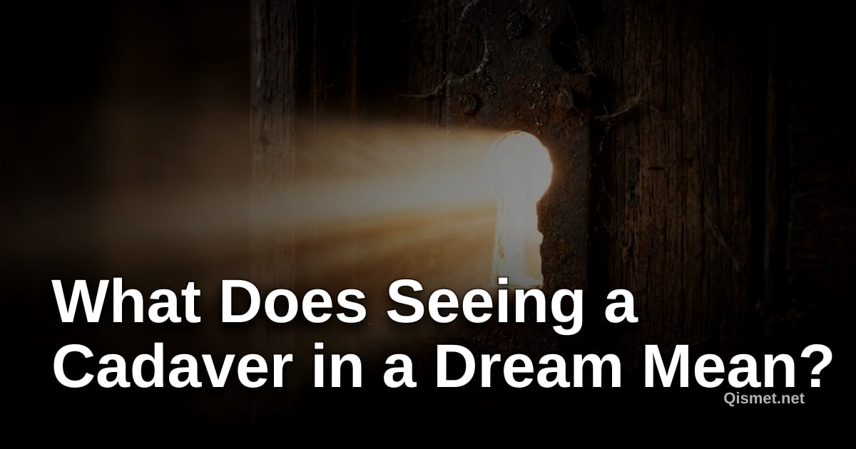 What Does Seeing a Cadaver in a Dream Mean?