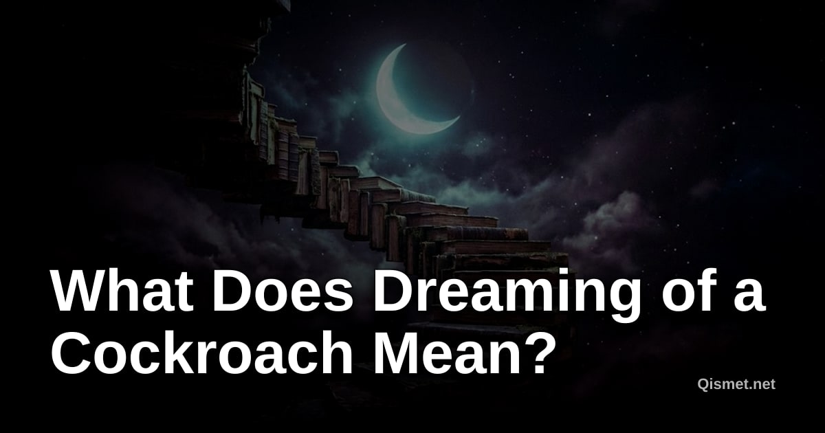 What Does Dreaming of a Cockroach Mean?