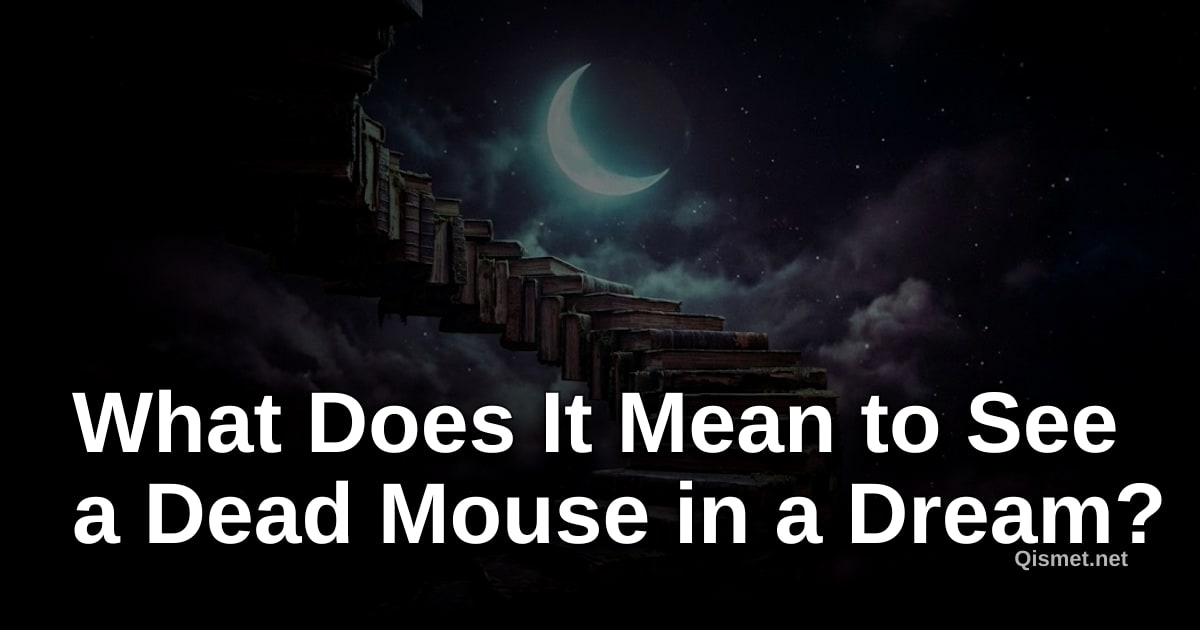 What Does It Mean to See a Dead Mouse in a Dream?