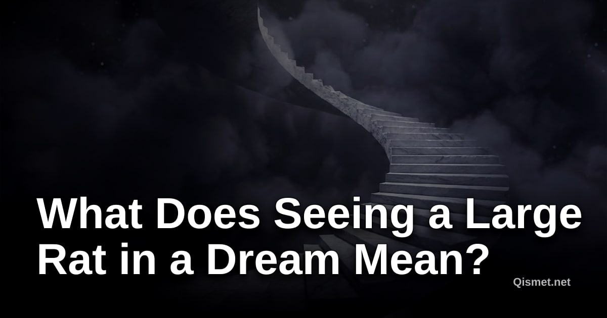 What Does Seeing a Large Rat in a Dream Mean?