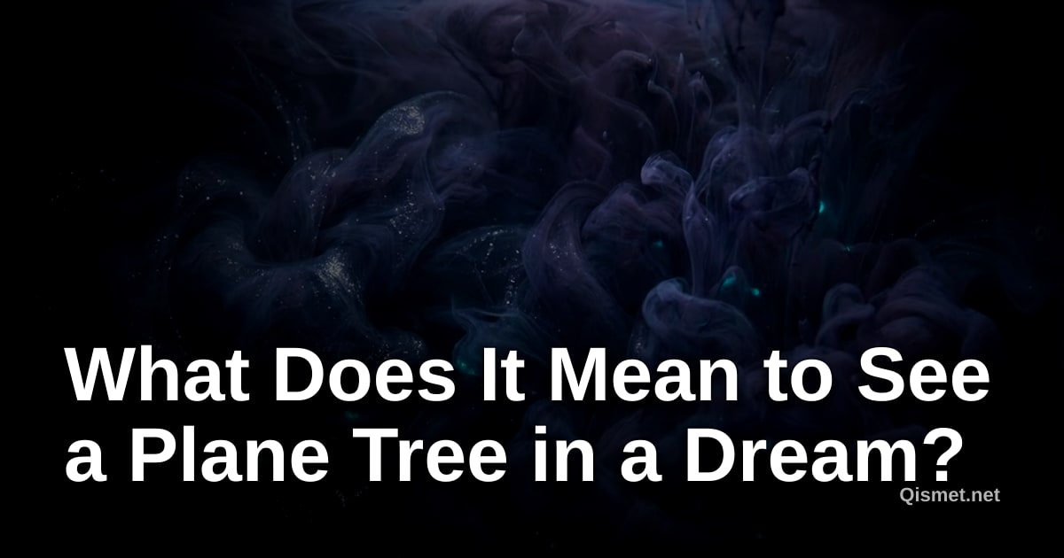 What Does It Mean to See a Plane Tree in a Dream?