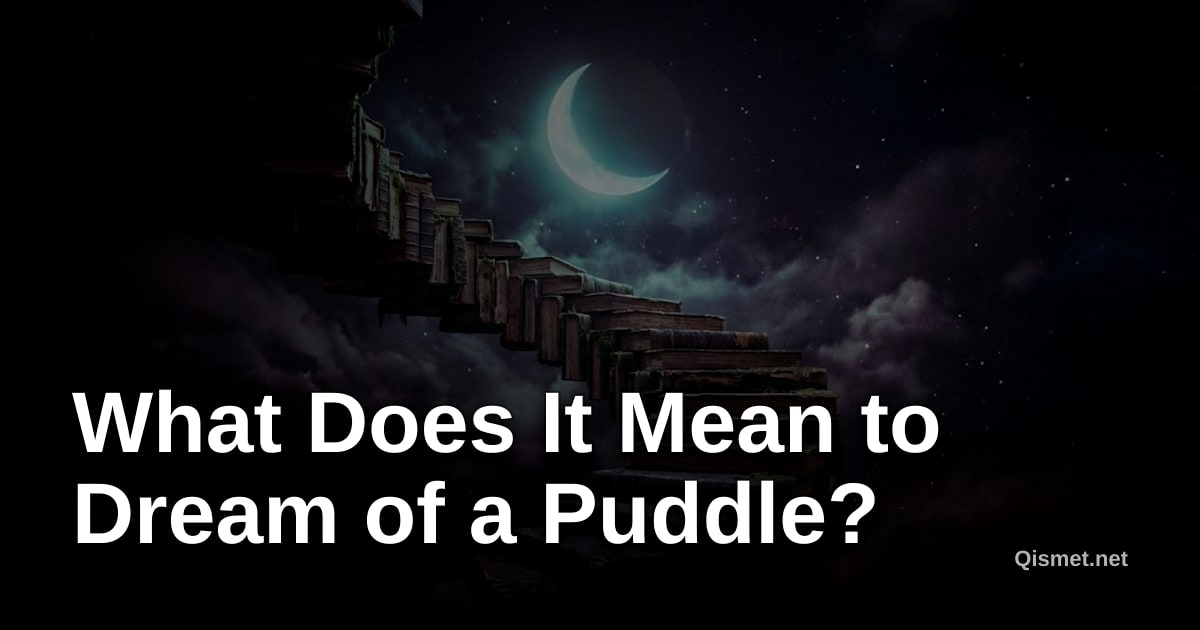 What Does It Mean to Dream of a Puddle?