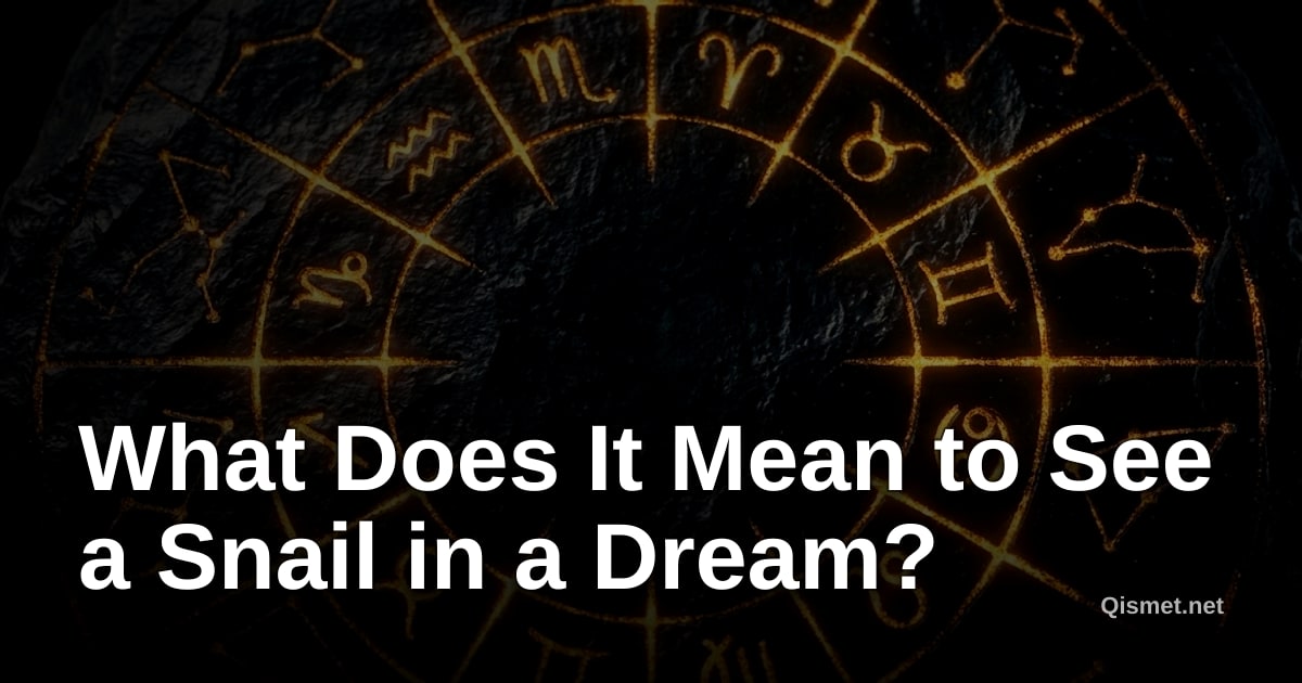 What Does It Mean to See a Snail in a Dream?