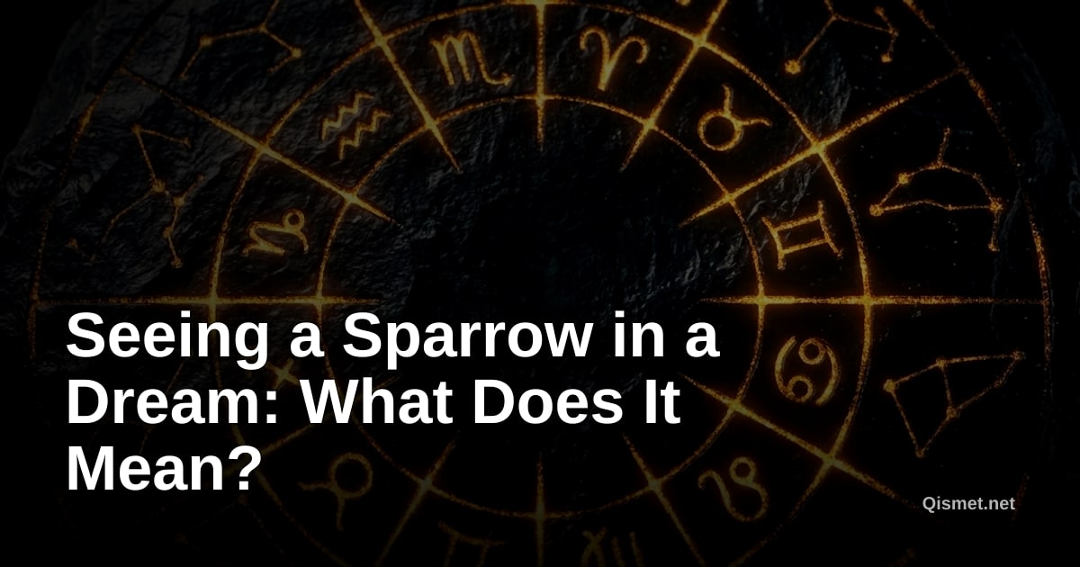 Seeing a Sparrow in a Dream: What Does It Mean?