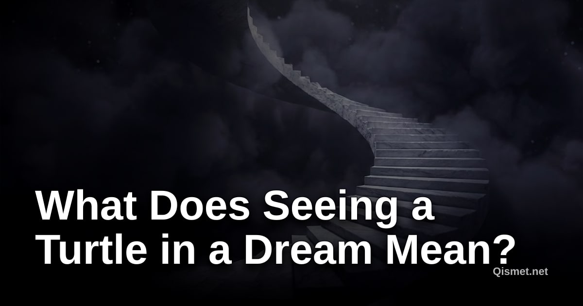 What Does Seeing a Turtle in a Dream Mean?
