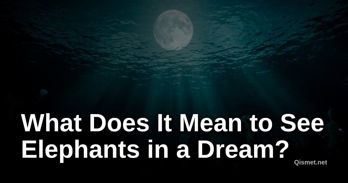 What Does It Mean to See Elephants in a Dream?