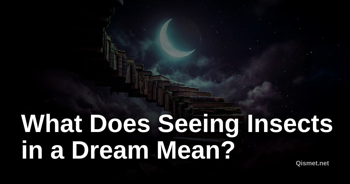 What Does Seeing Insects in a Dream Mean?