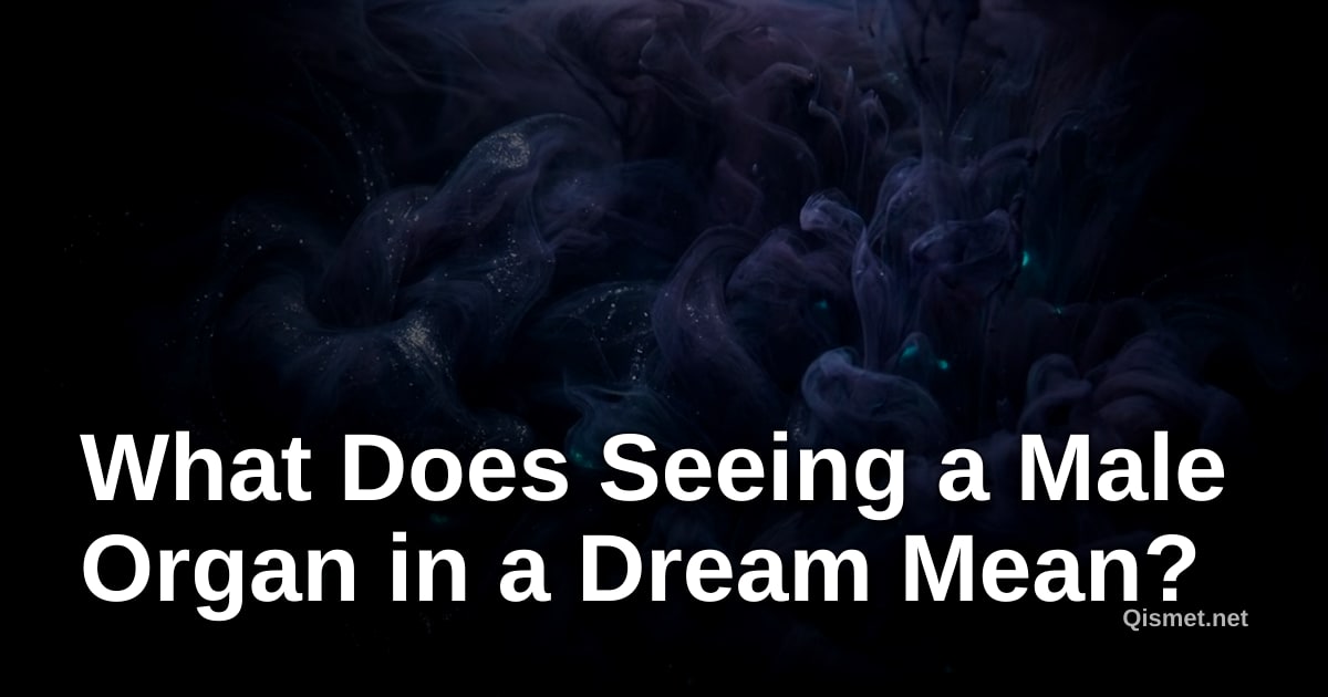 What Does Seeing a Male Organ in a Dream Mean?