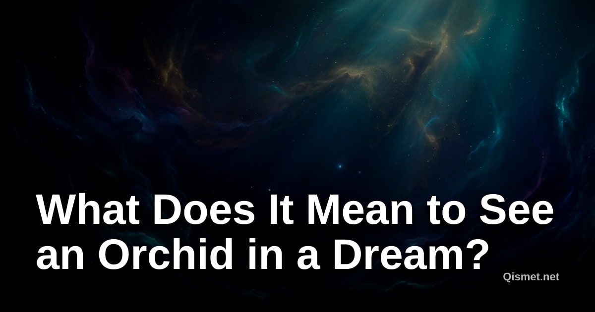 What Does It Mean to See an Orchid in a Dream?