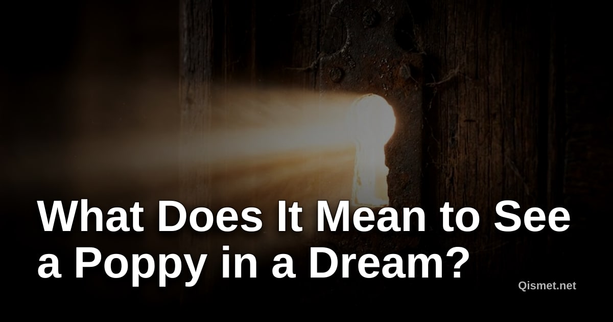What Does It Mean to See a Poppy in a Dream?