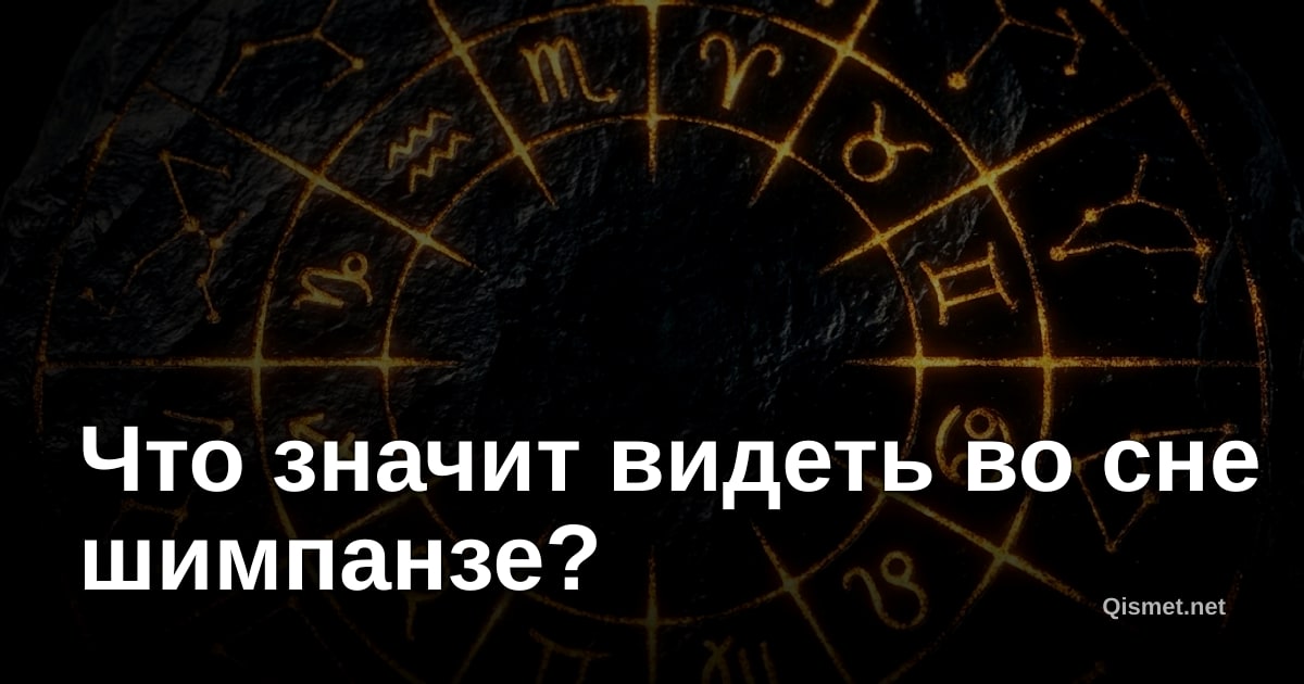 Что значит видеть во сне шимпанзе?