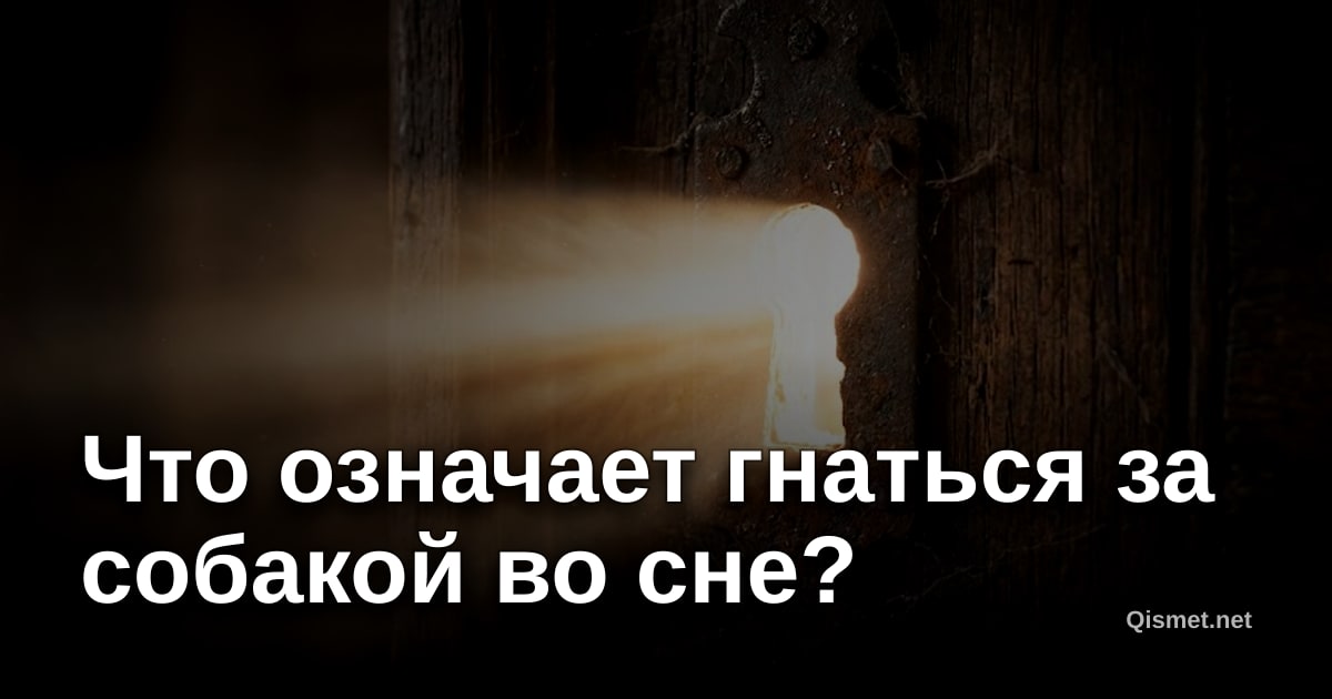 Что означает гнаться за собакой во сне?