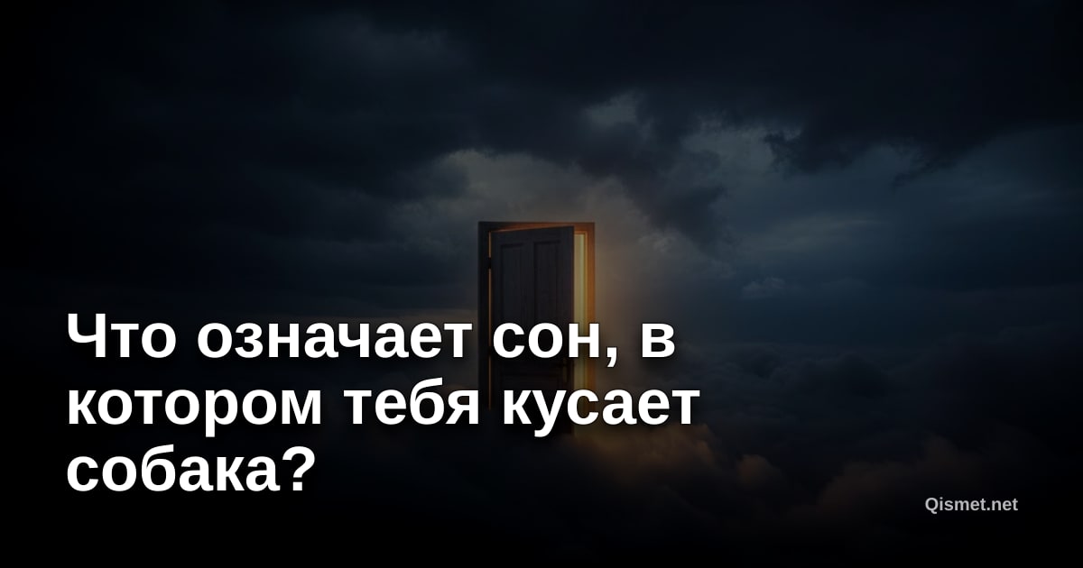 Что означает сон, в котором тебя кусает собака?