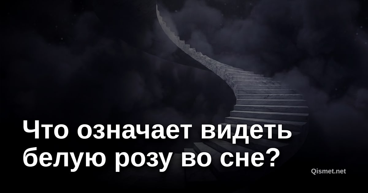 Что означает видеть белую розу во сне?