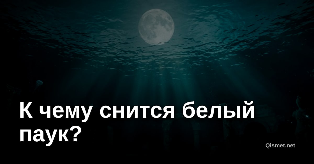 К чему снится белый паук?