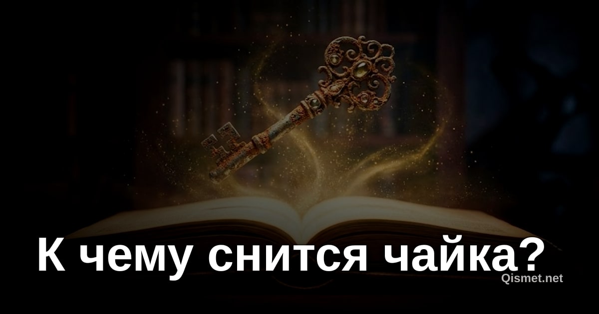 К чему снится чайка?