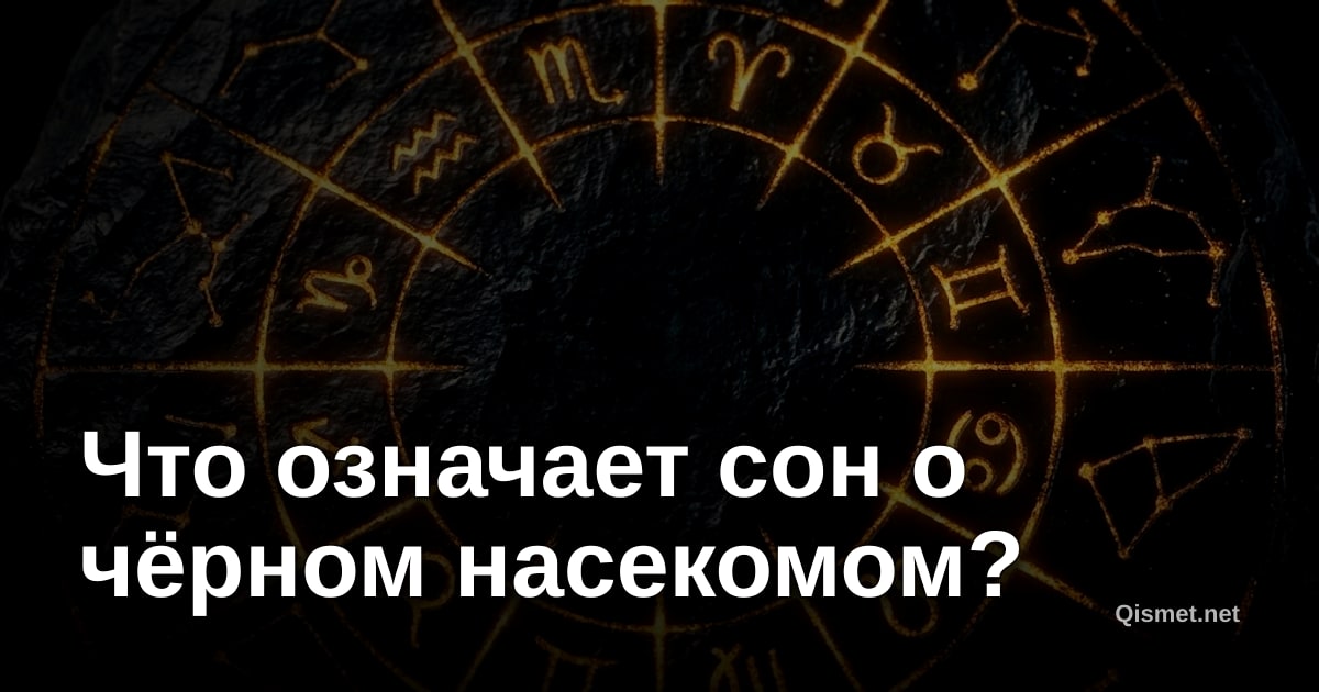 Что означает сон о чёрном насекомом?