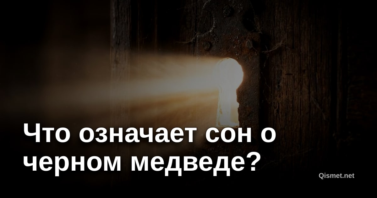 Что означает сон о черном медведе?